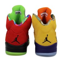 Nike Jordan 5 Retro SE What The